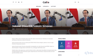 Aplikasi Blog Berita Berbasis Web (Laravel)